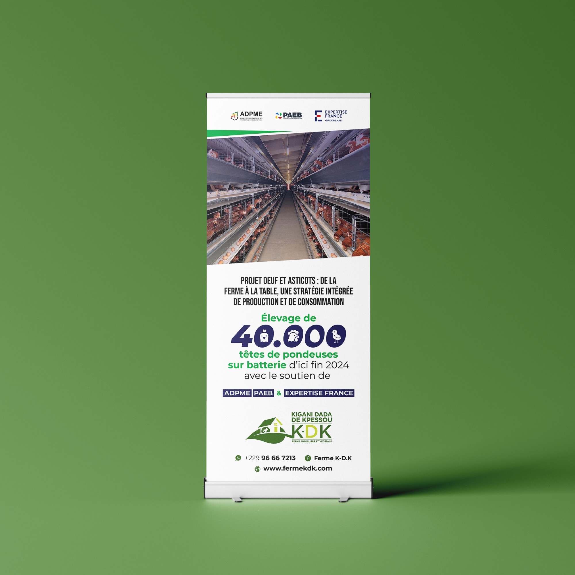 Roll-up sur l'élevage de 40 000 pondeuses
